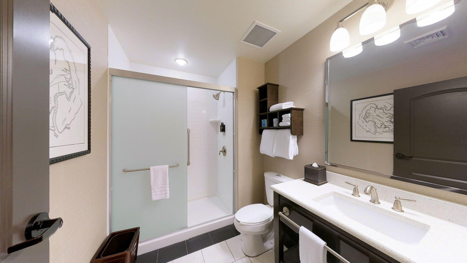 Bathroom 5, The Inn At Sea Island, Glynn