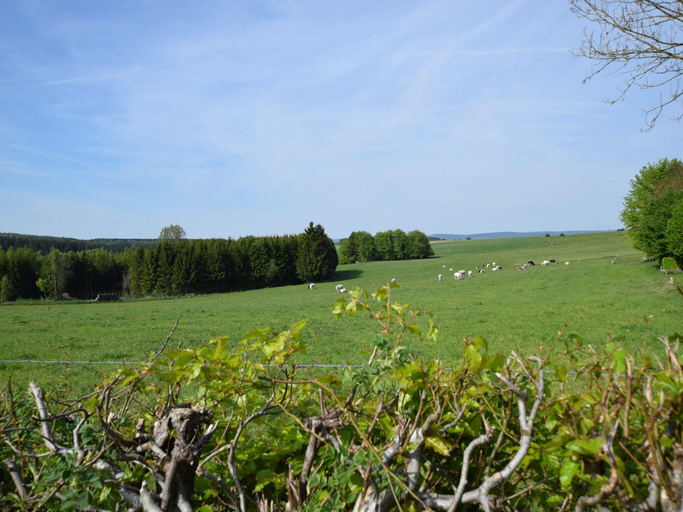 Others 5, Luxury Villa with Pool, Luxembourg