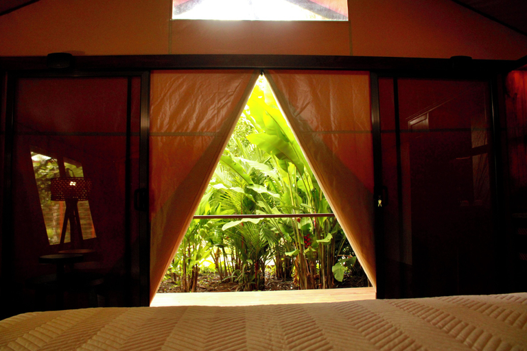 Bedroom 3, Tocu Tent Camp, Los Chiles