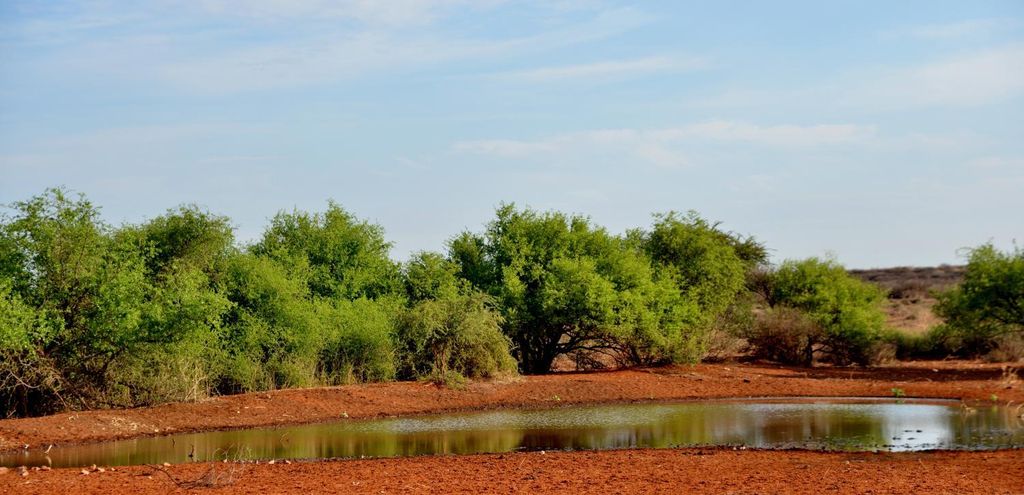 Others 4, Eco-Lodge Gamagara Africa, John Taolo Gaetsewe