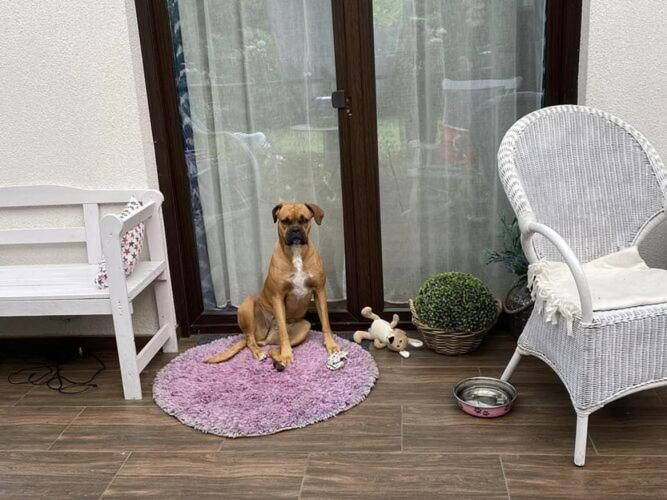 Others 4, Holiday Home in Kolczewo near Wild Beach, Kamień