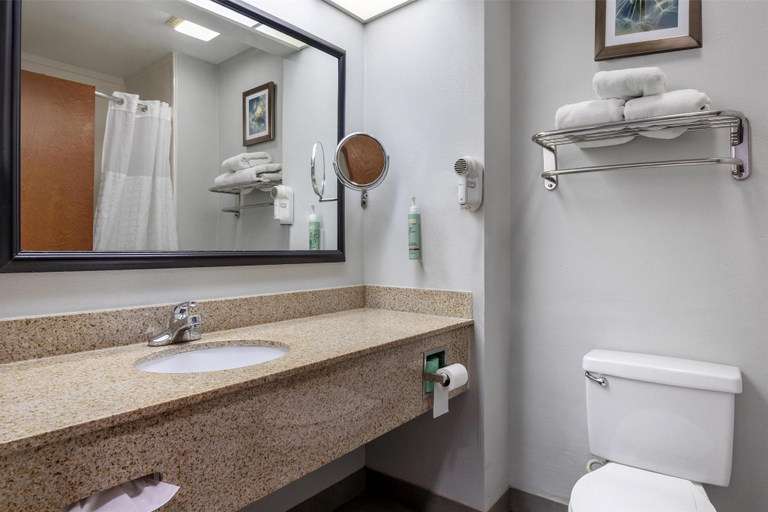 Bathroom 3, Best Western Executive Inn, Navarro
