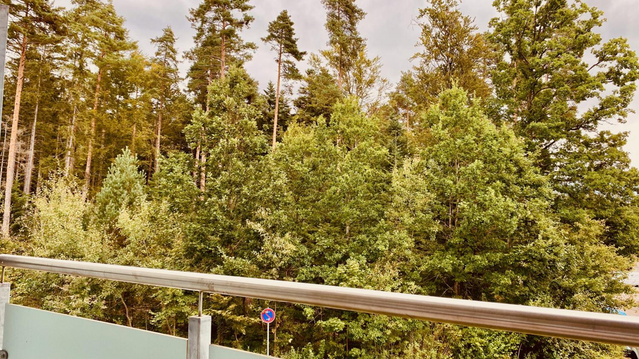 Others 5, G&P Housing Apartments mit Kuche & Balkon & HighSpeed Internet- Comfort, Calw