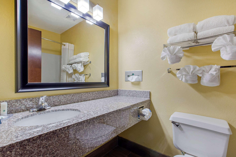 Bathroom 4, Quality Inn Williamston, Martin