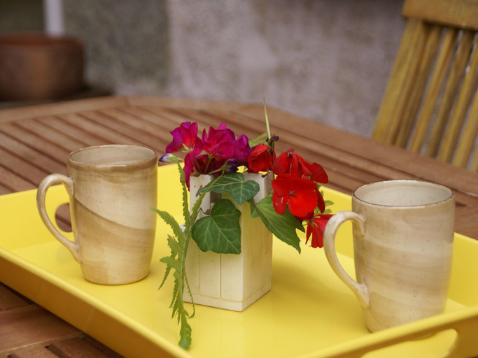 Food & Drinks 4, Holiday Home in La Chapelle with Garden, Vosges
