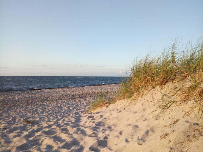 Others 4, Kustenwohnung in Zierow, Nordwestmecklenburg