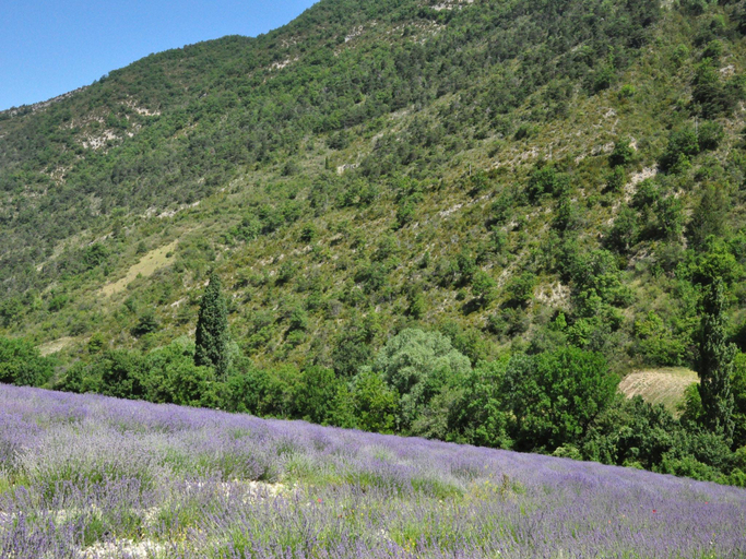 Others 5, Village House in Fayence with Castle Views, Var