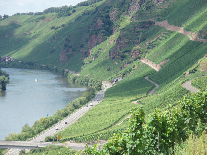 Others 4, Romantischer Aufenthalt mit Blick auf den Weinberg, Bernkastel-Wittlich