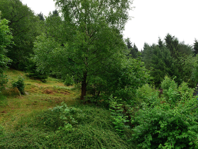 Others 4, Ferienwohnung in der Nahe von Willingen, Waldeck-Frankenberg