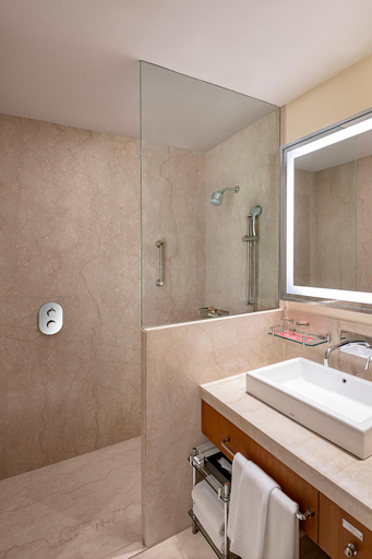 Bathroom 5, Trident, Udaipur, Udaipur