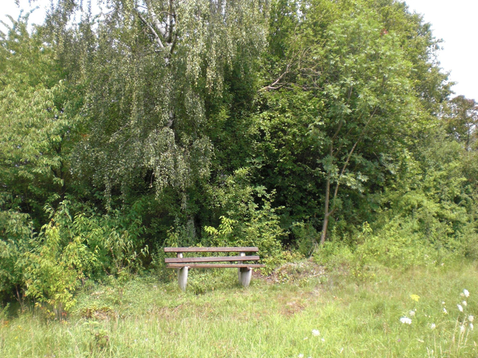 Others 2, Dog-friendly holiday home in the Knull, Hersfeld-Rotenburg
