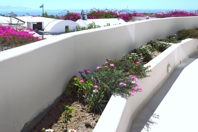 Others 5, Lovely Hot-L, South Aegean
