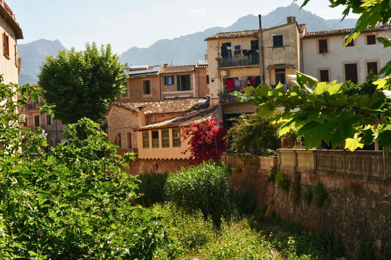 Exterior & Views 2, Solleric Petit Hotel, Baleares