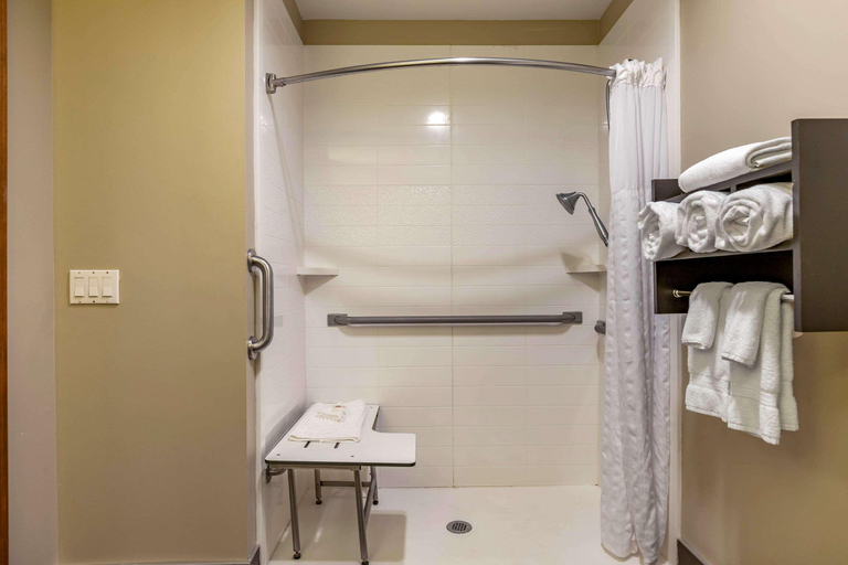 Bathroom 4, Comfort Inn Ludington Near US-10, Mason