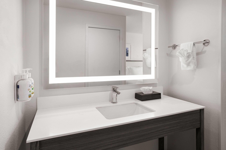 Bathroom 4, Ramada By Wyndham York Harrisburg Hershey, York