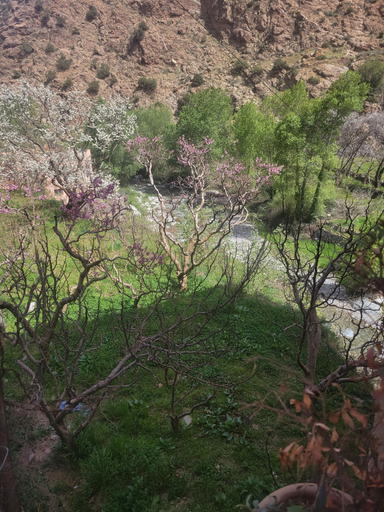 Others 3, ATLAS OURIKA HOME, Al Haouz