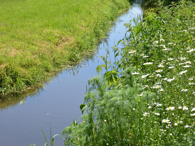 Others 5, Charming Mill in Gedinne, Namur