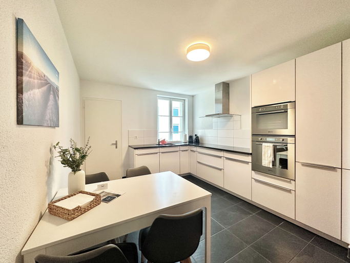 Others 5, Business Apartment Derendingen, Wasseramt