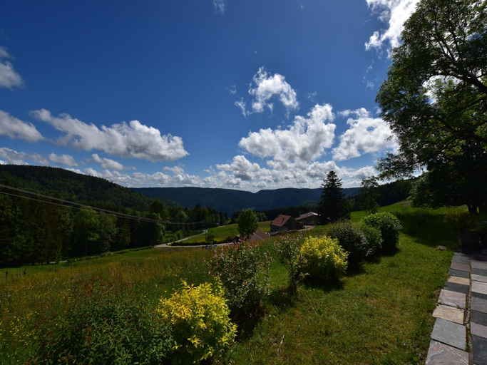 Others 5, Chalet in Saulxures near Ski Resorts, Vosges