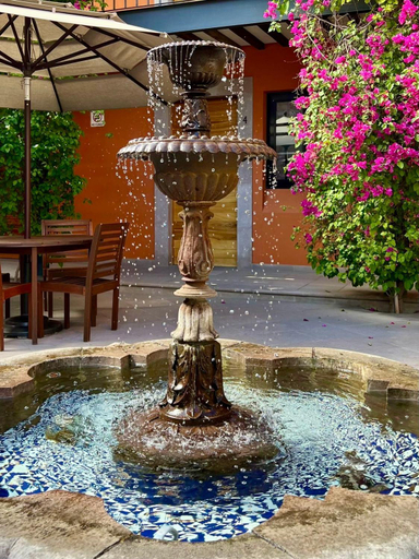 Others 5, Hotel Arista 1026, San Luis Potosí