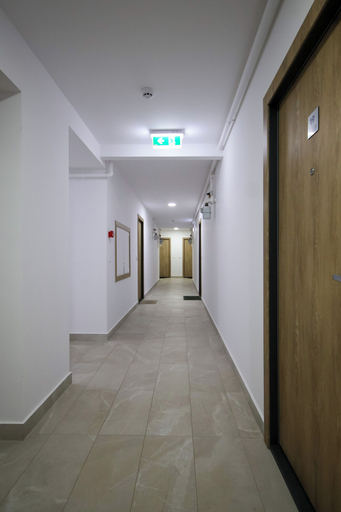 Others 5, Hils Palady, Municipiul Bucuresti