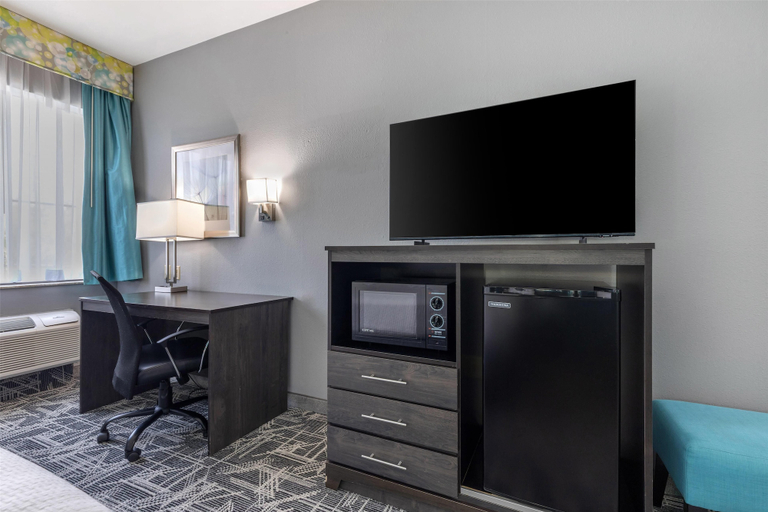 Others 5, Best Western Executive Inn, Navarro