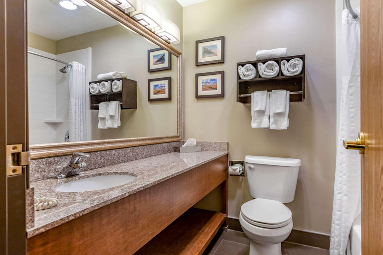 Bathroom 4, Comfort Inn Ludington Near US-10, Mason