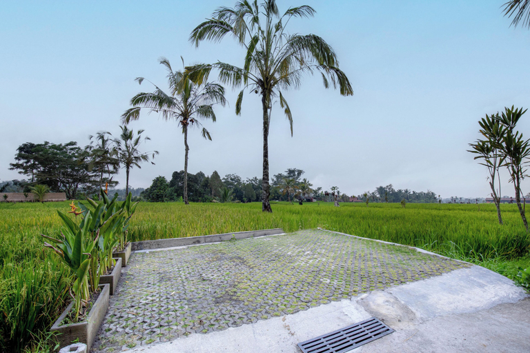 Others 5, Sebatu Hill Cottage, Gianyar