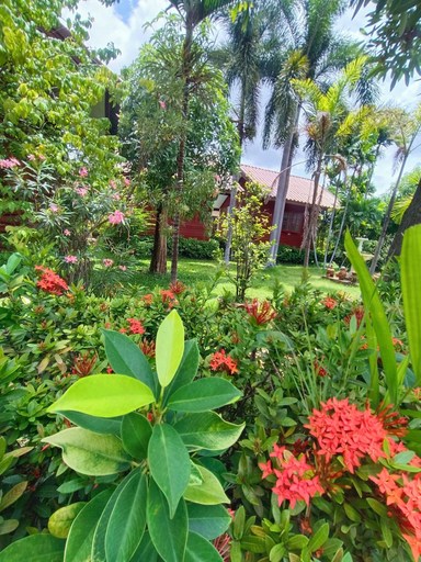 Others 3, MG Guest House, Muang Sukhothai