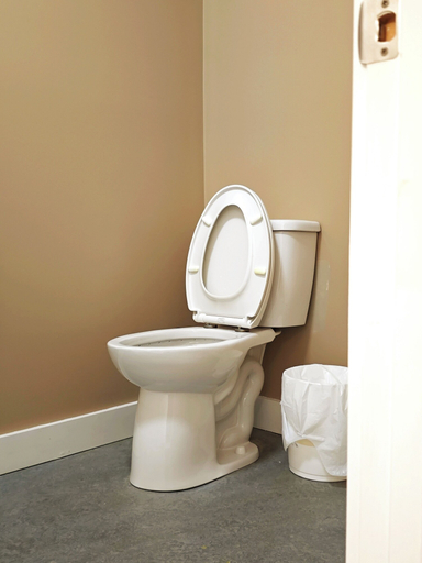 Bathroom 3, The Cozy Little Home, Yukon