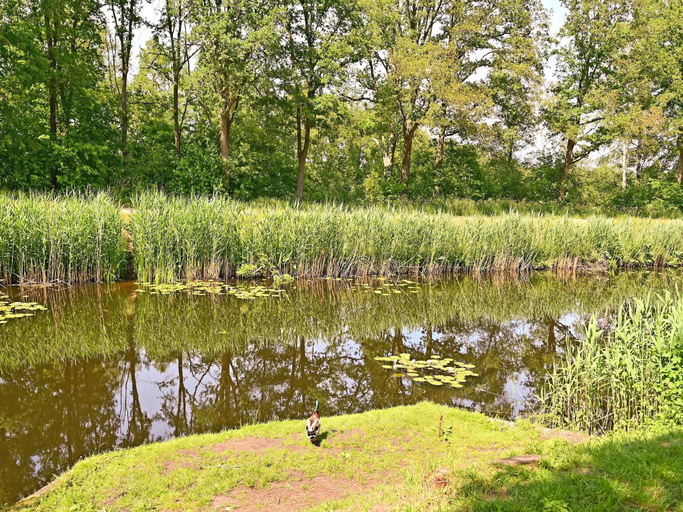 Others 5, Holiday home in Reutum with sauna, Tubbergen