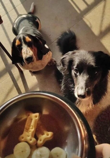 Food & Drinks, Villa Ayê Pousada Petfriendly, Socorro