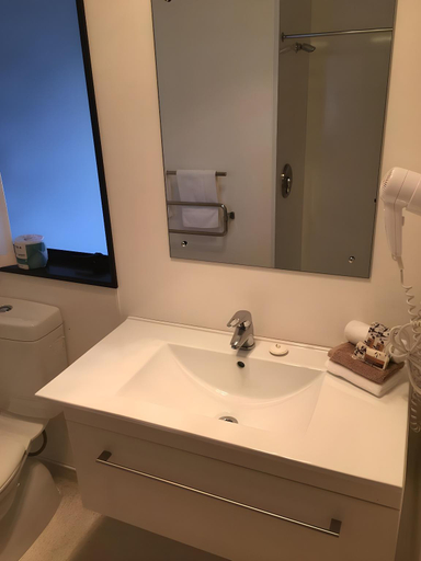 Bathroom 3, Alpine Glacier Motel, Westland