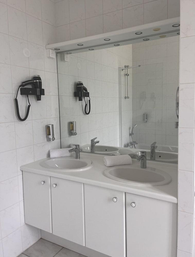 Bathroom 3, La Souveraine, Vosges