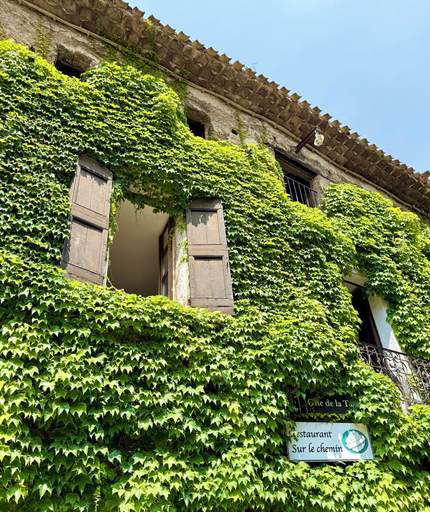 Exterior & Views