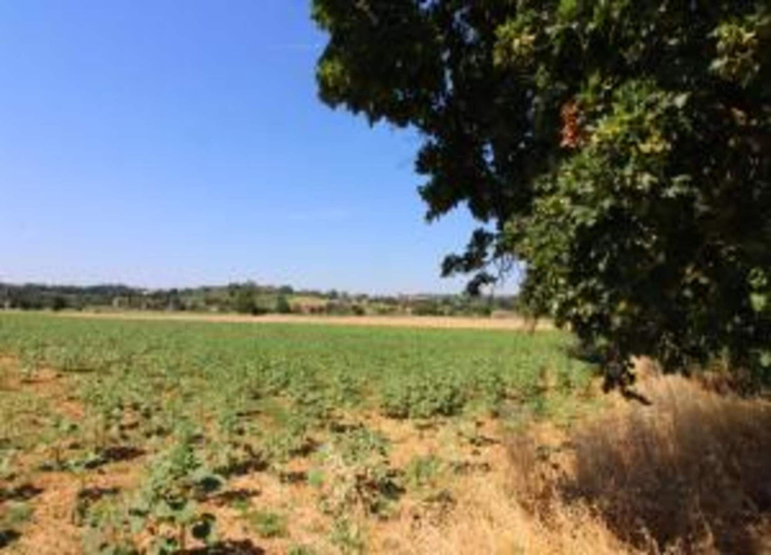 View from property 4, Modern Holiday Home in Foiano Della Chiana With Pool, Arezzo