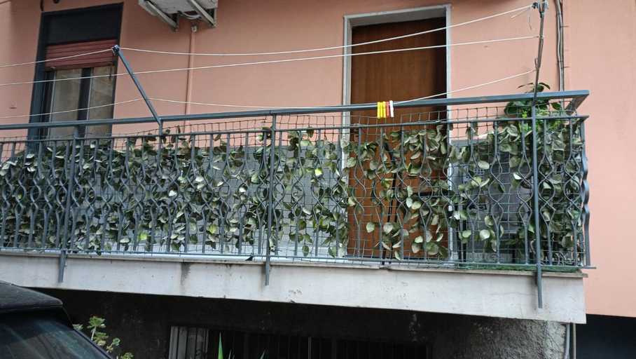 Others 4, Elvyhouse City, Catania