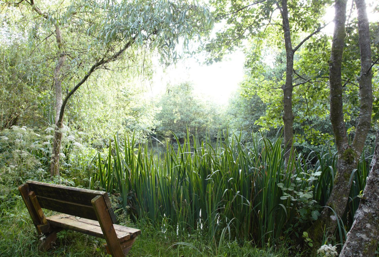 Others 5, Go Eco Glamping, Ceredigion