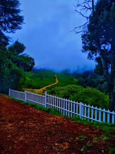 Others 3, Amber by The Tamarillo, The Nilgiris