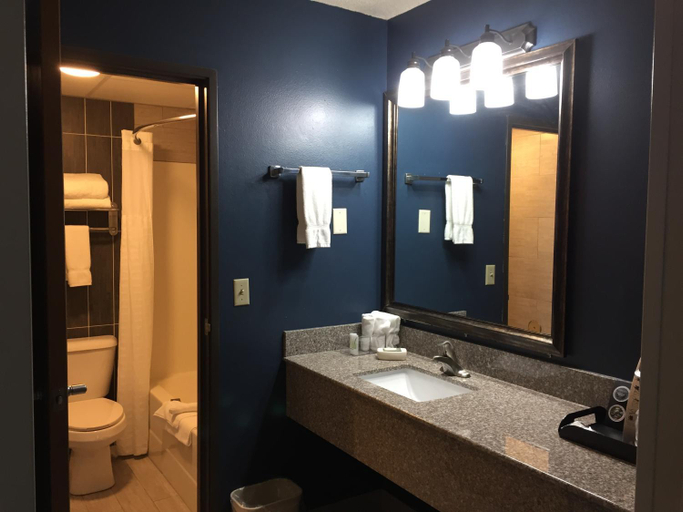 Bathroom 4, River District Hotel, Crawford