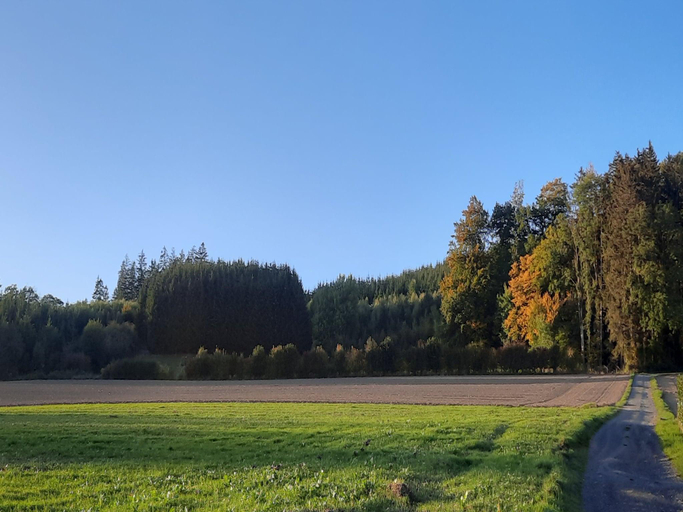 Others 4, Ferienwohnung im malerischen Eslohe, Hochsauerlandkreis