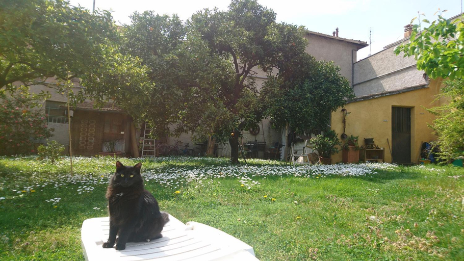 Others 5, Oddi21 B&B, Savona