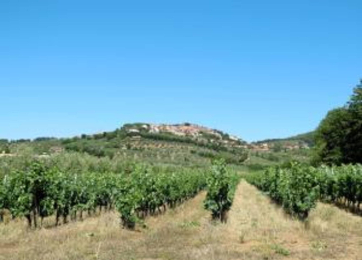 View from property 2, Apartment in Monteverdi Near Wine Tours, Pisa