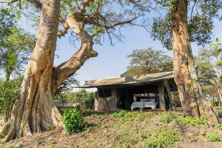 Exterior & Views 2, Basecamp Adventure, Narok West