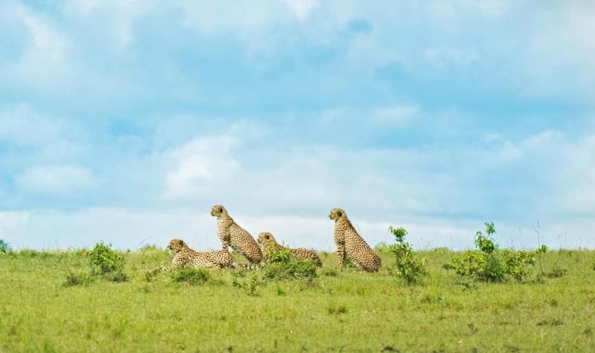 Others 4, Saruni Eagle View, Narok West