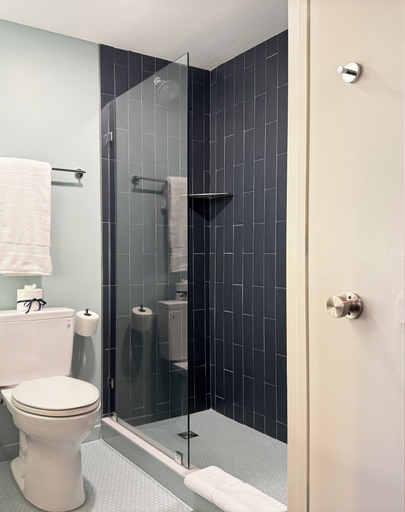 Bathroom 4, Colony House Motor Lodge, Roanoke City
