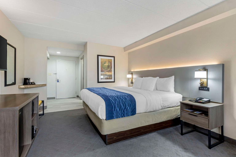 Bedroom 3, Comfort Inn Herndon-Reston, Fairfax