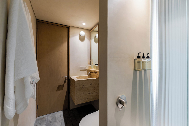 Bathroom 4, Lamartine, Mexico City
