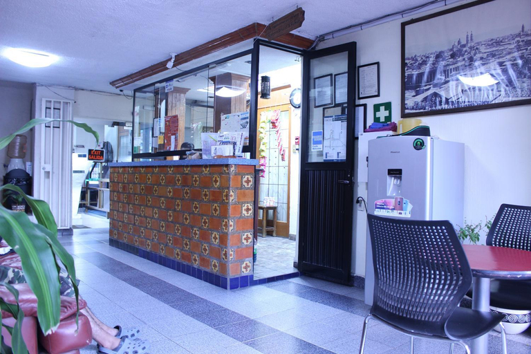 Public Area 2, Hotel Plaza Aleman, León