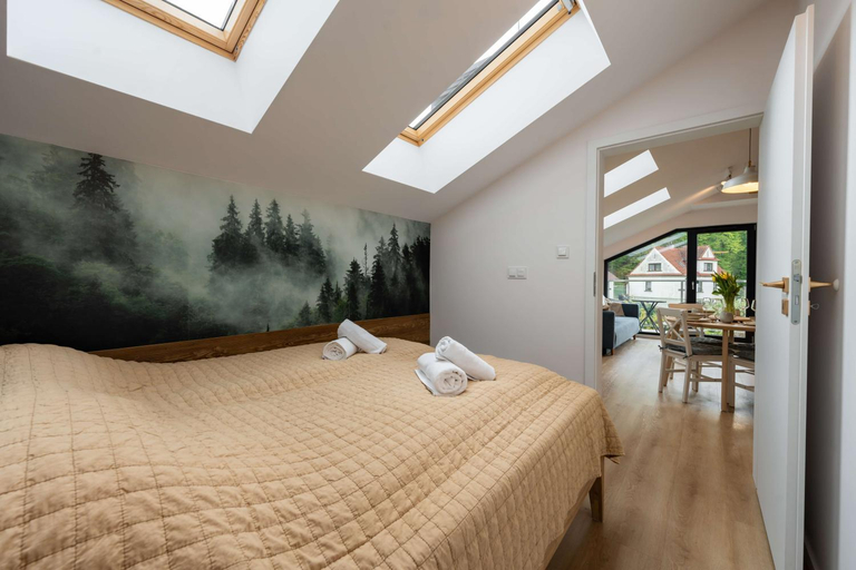 Others 4, Apartamenty Nad Wisla - z sauna i blisko centrum - Dream Apart, Cieszyn